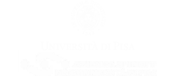 Università di Pisa, Spinoff